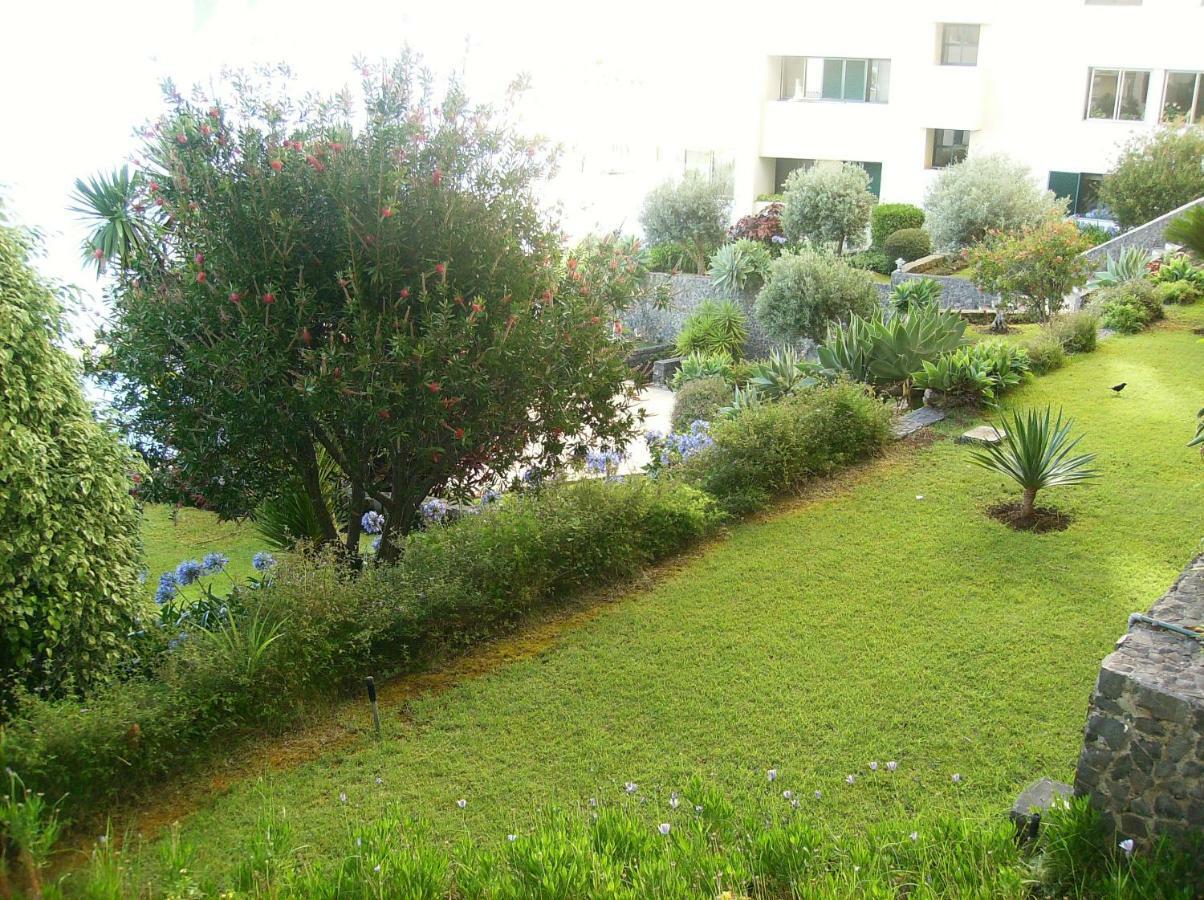 Oceanfront Apartment 丰沙尔 外观 照片